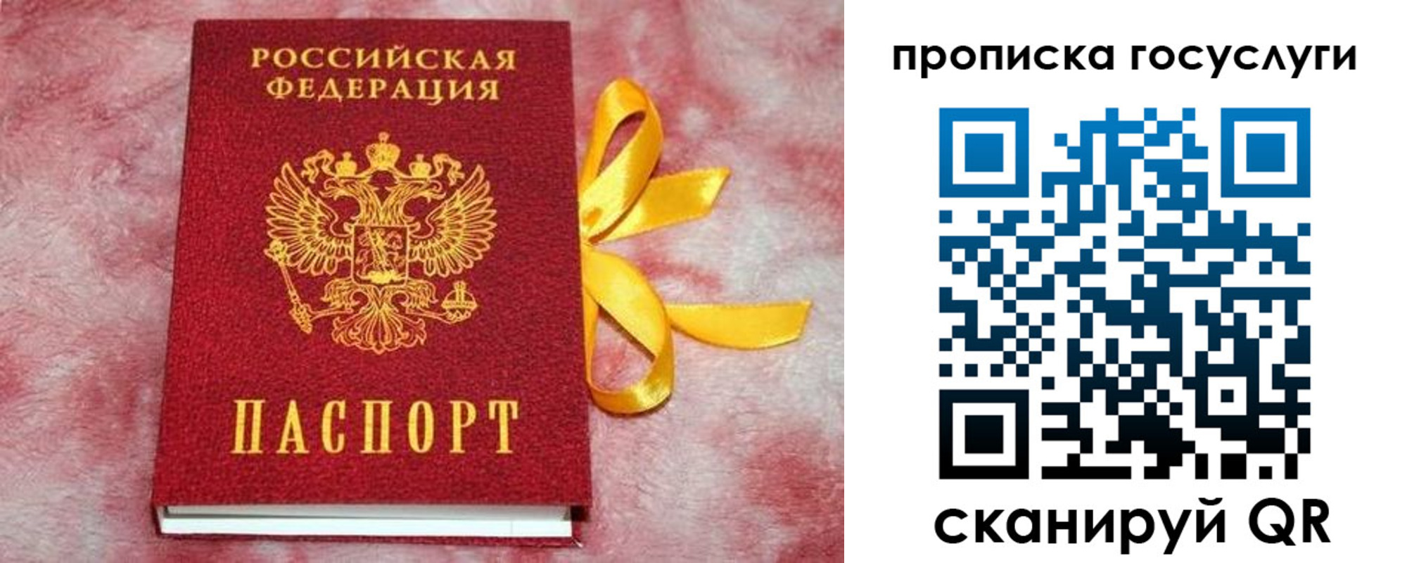 прописка законно в Емве
